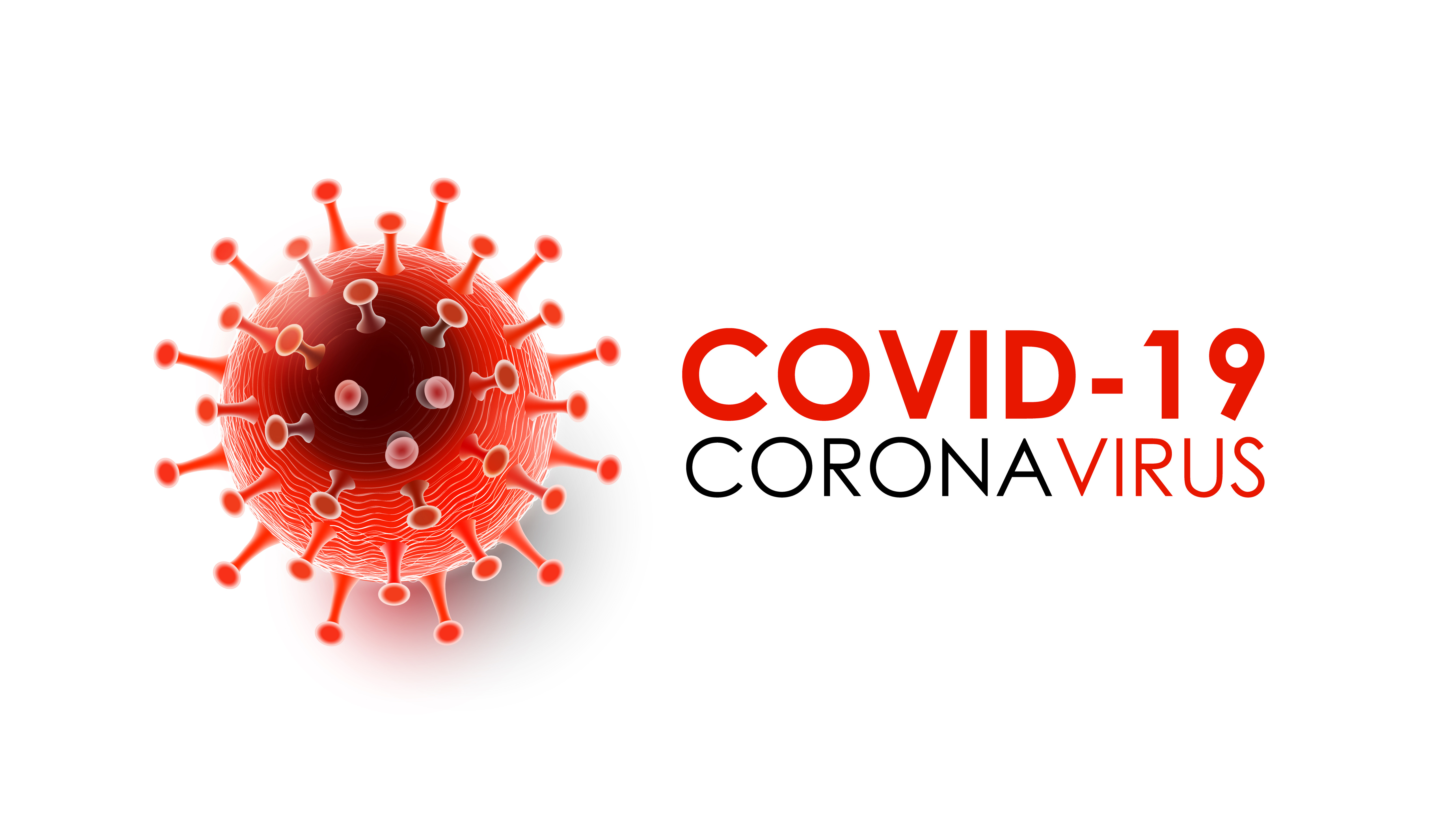新型コロナウイルスに関する論文検索システムを開発・無償提供